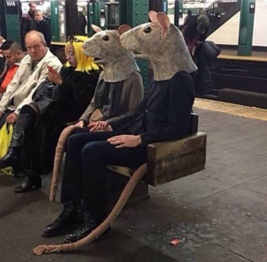 Giant Vermin Wait For Their Train