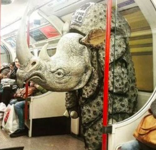 Massive Rhino Statement