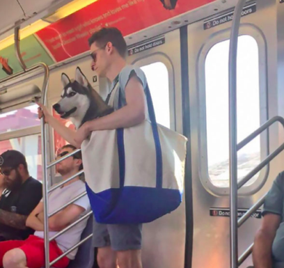 Man Finds Creative Way To Bring His Dog With Him