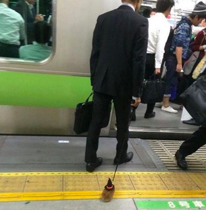 Man Brings His Adorable Pet To Work