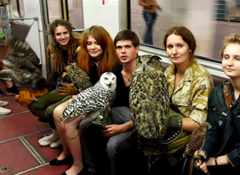 Group Of Teens With Their Pets