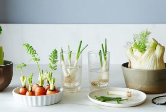 Regrow Veggies From Scraps