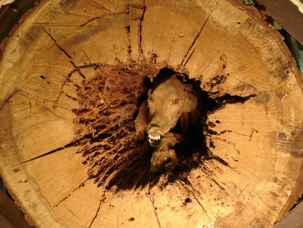 Mummification At Play?