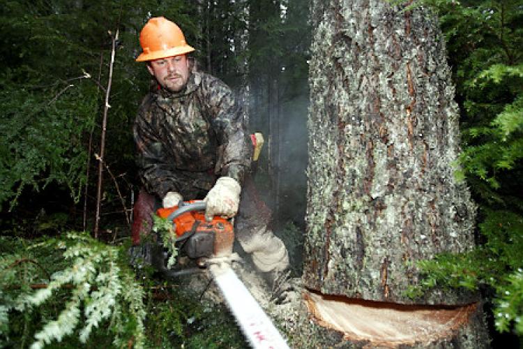 The Day Doesn't Stop