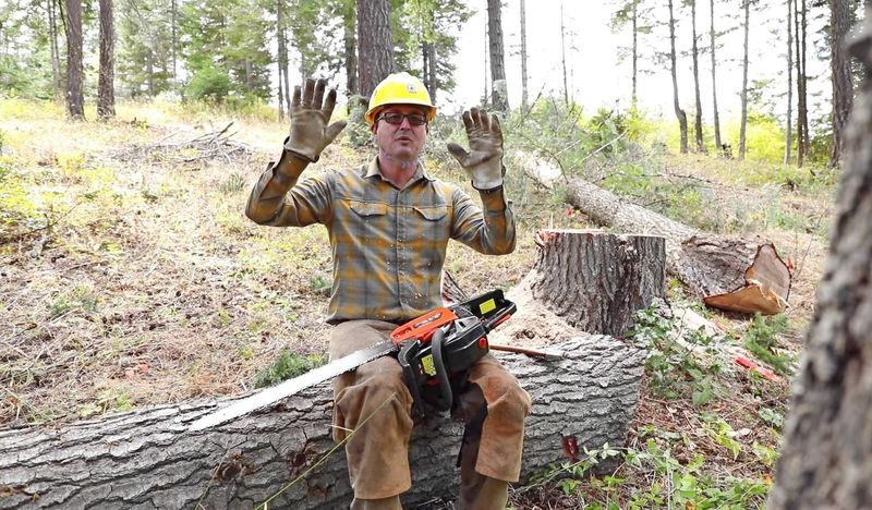 An Unusual Occurrence