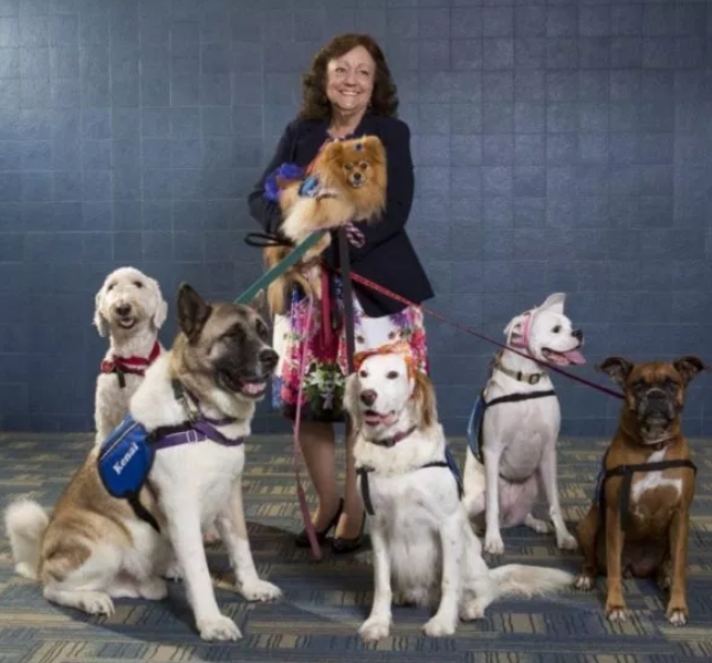 The K 9th Circuit Program