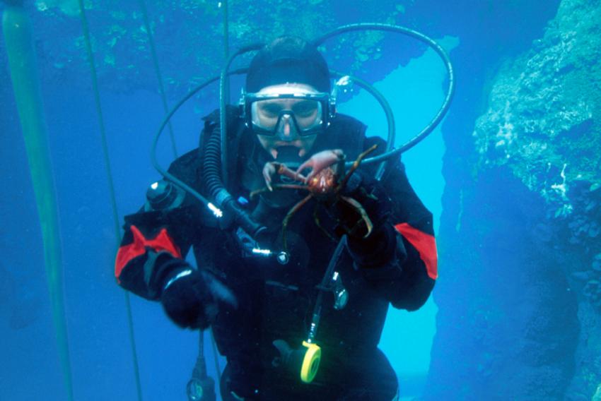 Another Incredible Story