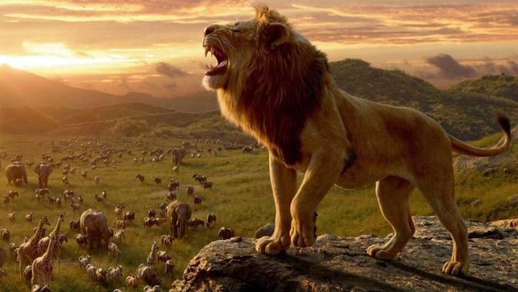 7. The Lion King (2019)
