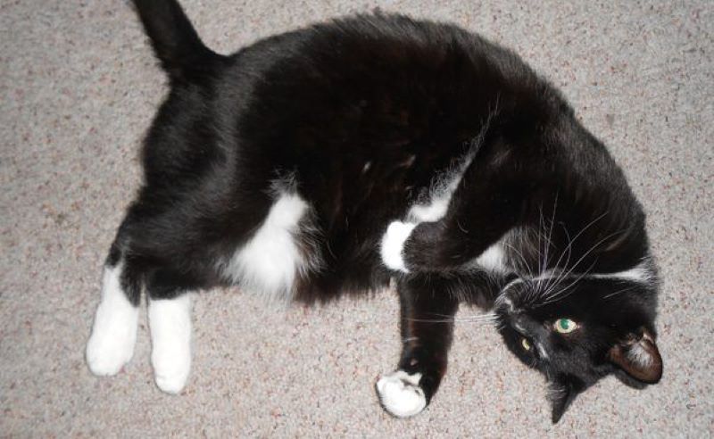 Rolling Around On The Floor