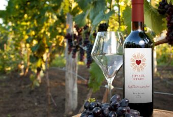 Chrissy Metz's Joyful Heart Reserve